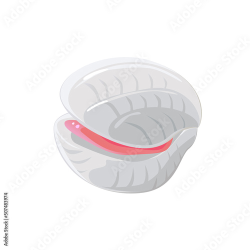 cockle 02