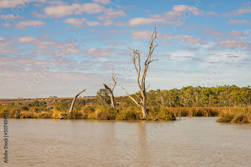 The Murray River in South Australia has many pristine environments along its beautiful  riverbanks