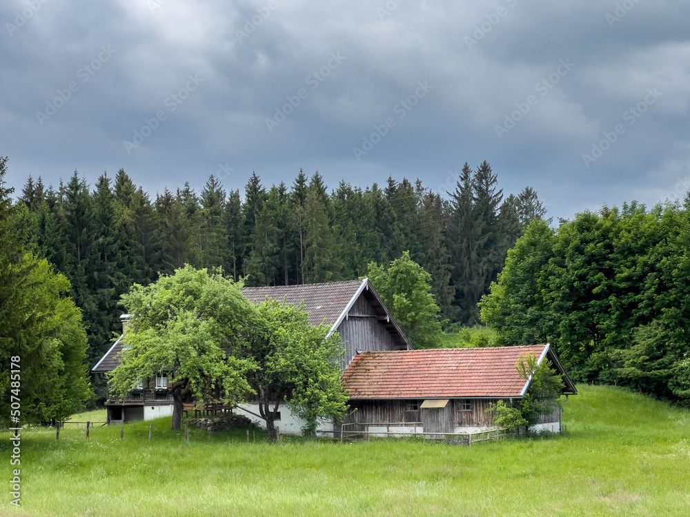 Im Allgäu bei Landsberg am Lech Bayern