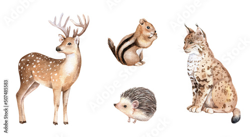 Watercolor woodland animal clipart set. Cute deer, lynx, hedgehog, chipmunk. Hand drawn illustration. Nursery design for prints, postcards, greeting cards, invitations