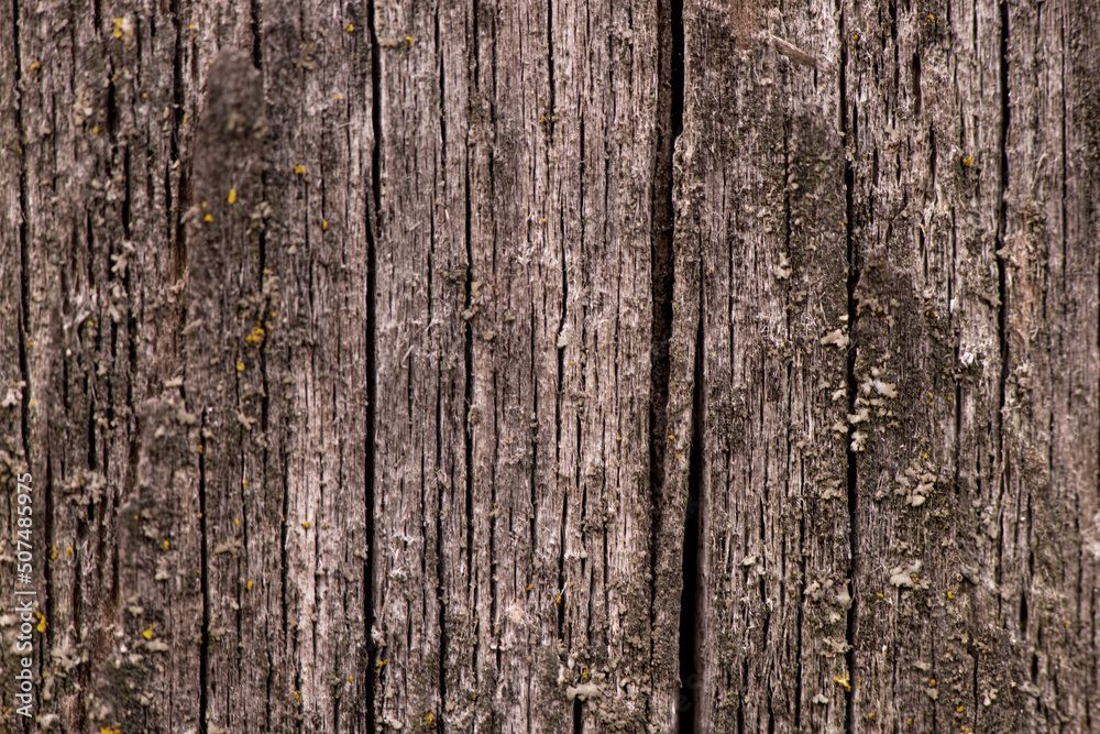 Brown wooden background, old boards with cracks Brown wooden background, old boards with cracks