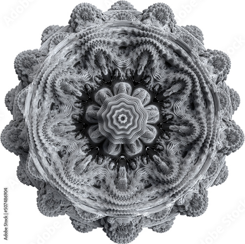 Canvastavla Abstract Organic Monochrome Isolated Surreal Symmetry Fractal Shape