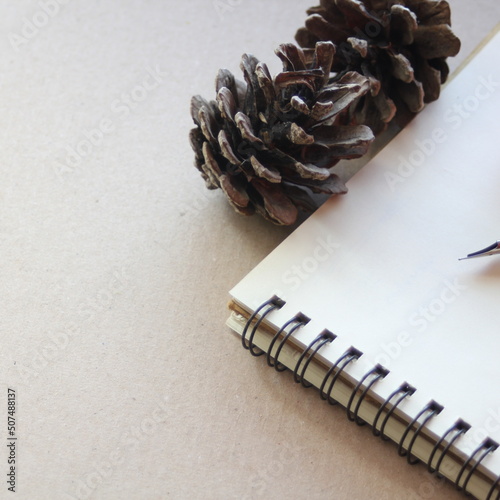 Blank notebook, pen, dried pine cones, christmas ball and a small gift box. Place on recycled paper