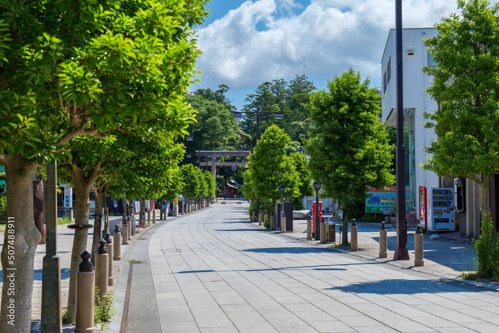 Naklejka premium 初夏の鹿島神宮の参道 茨城県鹿嶋市