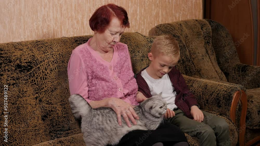An elderly grandmother and a little grandson are sitting together on the sofa and stroking a cat. Favorite pet. An elderly grandmother and a little grandson are sitting together on the sofa and stroking a cat. Favorite pet.