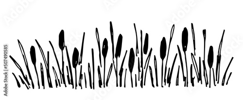 Simple black outline vector drawing. Thickets of reeds, lake shore, river plants. Duck hunting.