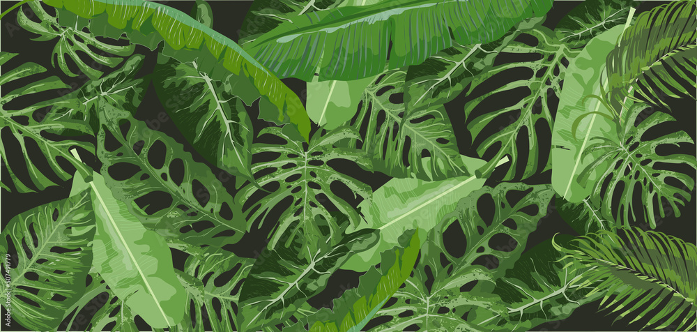 Tło roślinne. Rośliny tropikalne na ciemnym trle. Bananowiec, monstera, palma. Liście egzotyczne - obrazy, fototapety, plakaty 