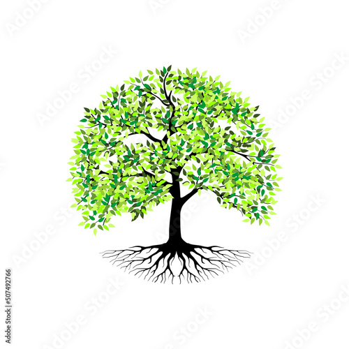 Tree and roots vector, tree with round shape