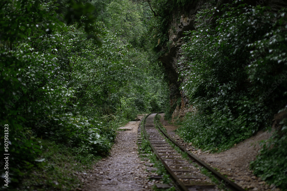 Fairy-tale landscape of abandoned rails laid along high mountains. Summer forest after the rain. Fairy-tale landscape of abandoned rails laid along high mountains. Summer forest after the rain.