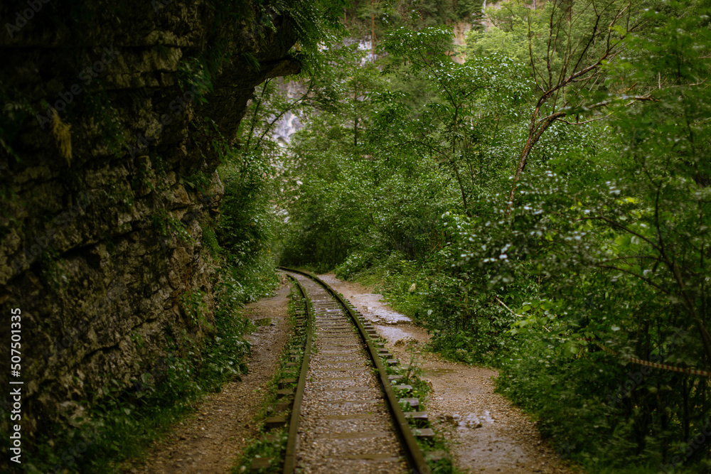 Fototapeta premium Fairy-tale landscape of abandoned rails laid along high mountains. Summer forest after the rain.