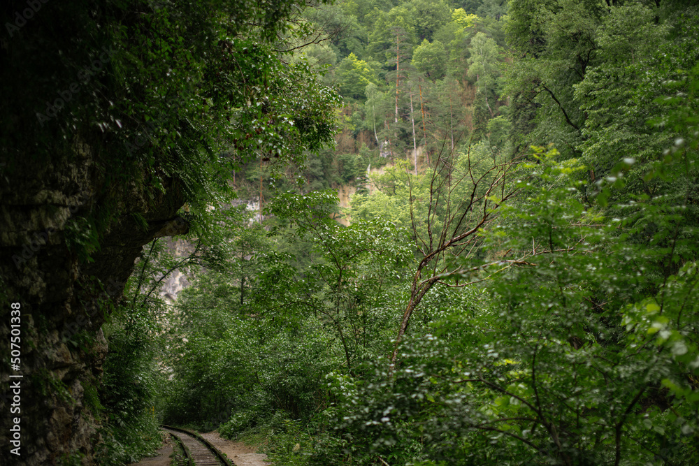 Fairy-tale landscape of abandoned rails laid along high mountains. Summer forest after the rain.