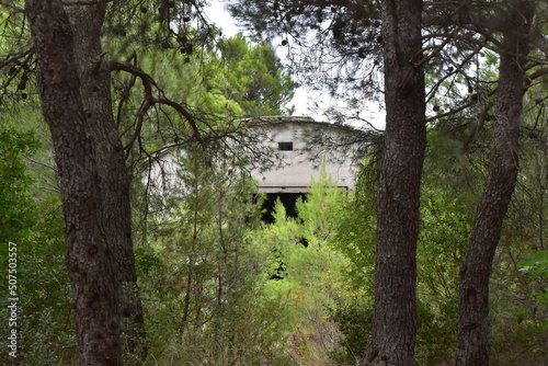 Abandoned building in woods