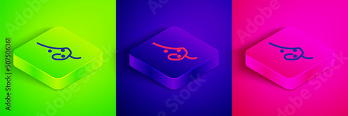 Isometric line Acne icon isolated on green, blue and pink background. Inflamed pimple on the skin. The sebum in the clogged pore promotes the growth of a bacteria. Square button. Vector