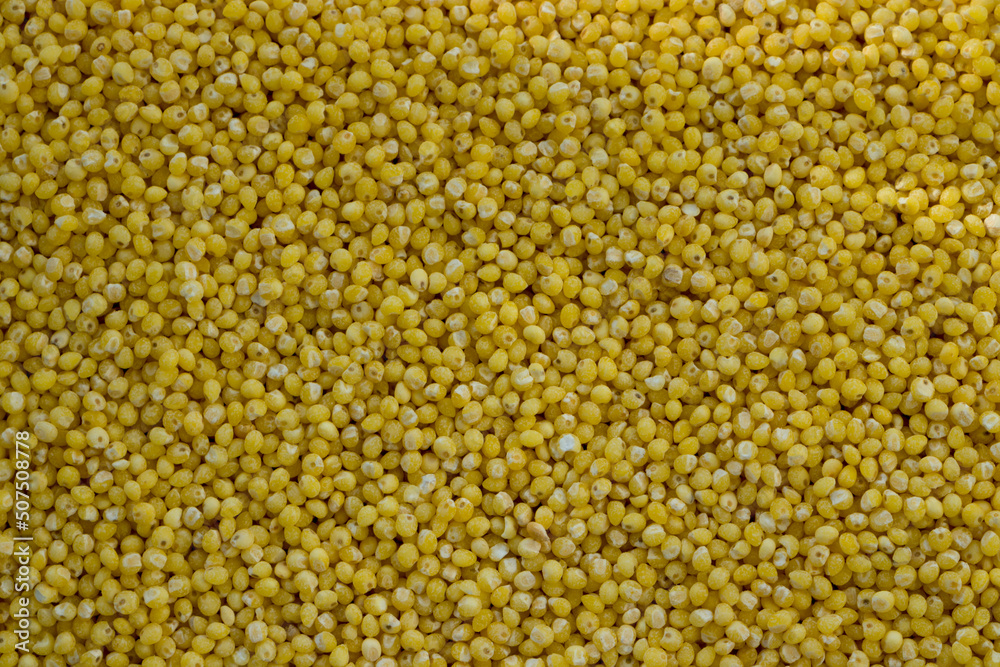 Millet. Millet texture background. Millet background. Groats. Texture.