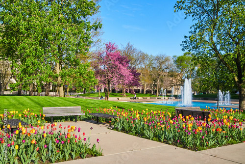 City park with fountains and stunning spring tulip garden of all colors © Nicholas J. Klein