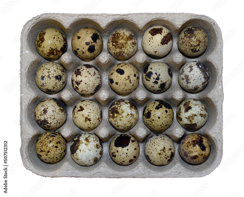 Quail eggs in a box (isolate) Quail eggs in a box (isolate)
