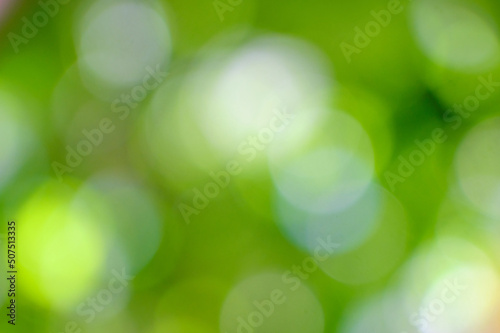 green blur texture
