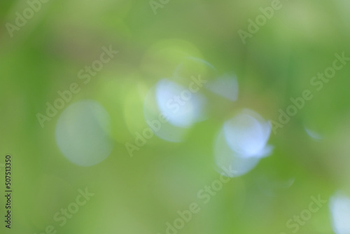 blurred green light texture