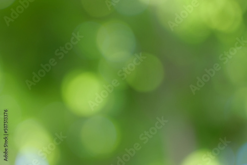 
blurred green light texture