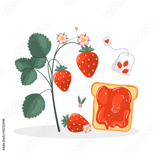 Summer vitamins. Toast and jam with fresh fruit. Cute card or print, vector illustration