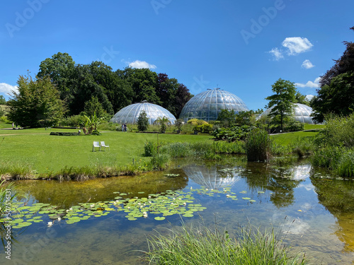 The Botanical Garden of the University of Zurich or Botanischer Garten der Universität Zürich (Botanischer Garten der Universitat Zurich - Botanischer Garten der Universitaet Zuerich), Switzerland photo