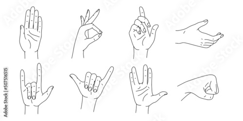 Hands poses vector set. Various hand gestures line art. Vector illustration isolated on white