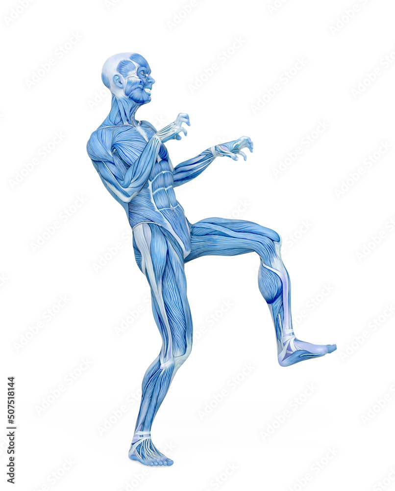 average man muscle maps is doing a halloween pose average man muscle maps is doing a halloween pose