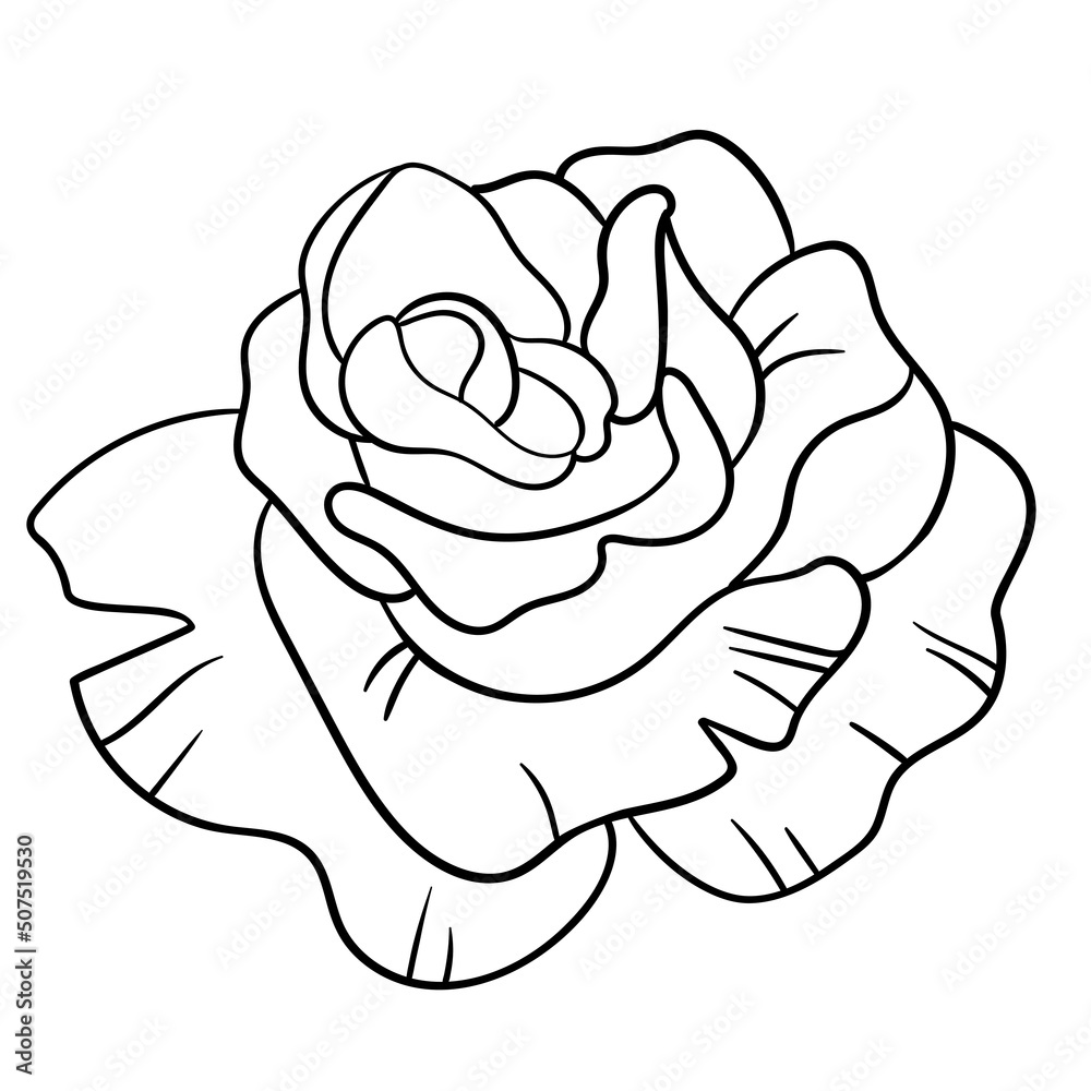 Floral silhouette art line. Flowers in continuous line drawing style. Border with tropical flower. Minimalist black linear sketch. Trendy vector illustration isolated. Contour graphics for design Floral silhouette art line. Flowers in continuous line drawing style. Border with tropical flower. Minimalist black linear sketch. Trendy vector illustration isolated. Contour graphics for design