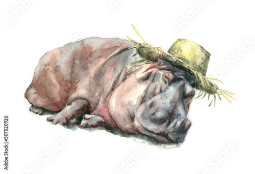 Watercolo drawing hippopotamus lying and sleeping in the straw hat (ID: 507520926)