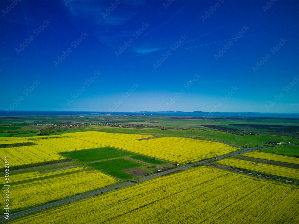 Fototapeta premium Fields with a plant in a valley against the background of the village and the sky in Bulgaria