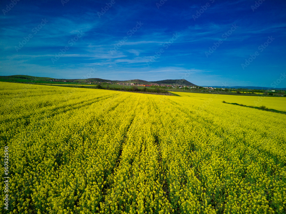 Meadows with a plant in a valley with fields against the background of the daytime sky in Bulgaria Meadows with a plant in a valley with fields against the background of the daytime sky in Bulgaria