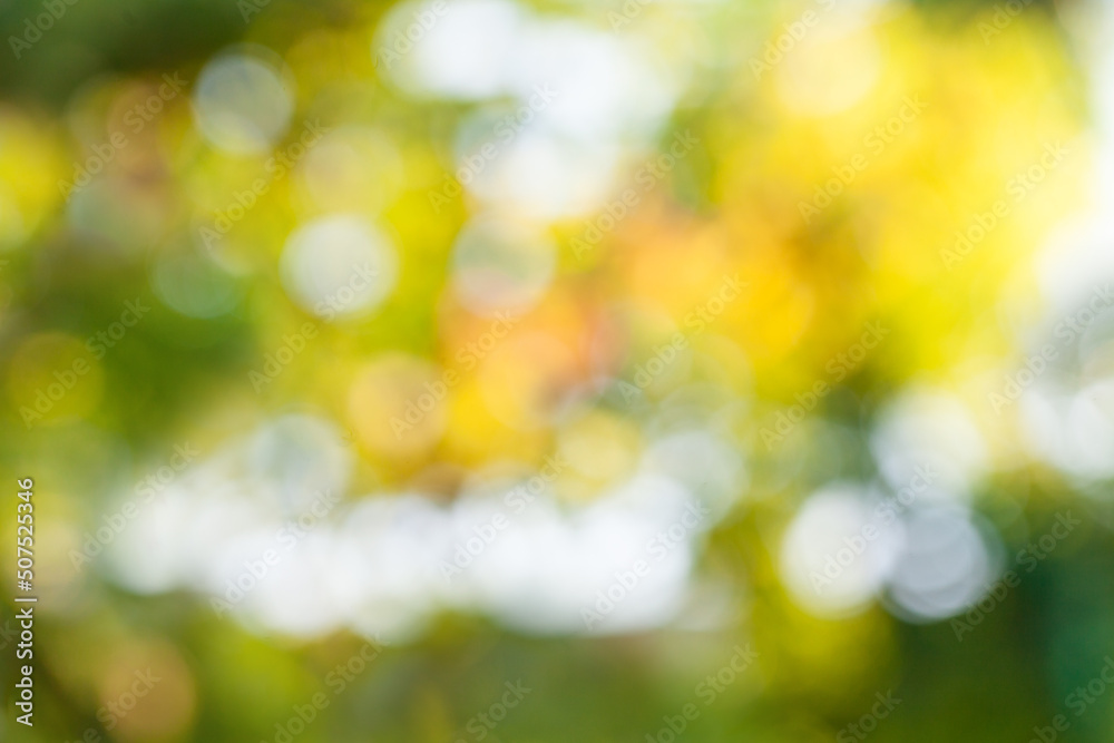 Spring and summer abstract green background banner Spring and summer abstract green background banner