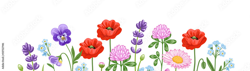 Obraz premium Horizontal banner with colorful blooming wild flowers. Floral background with poppy, pansy, red clover and meadow plants and leaves. Spring botanical vector illustration on white background.