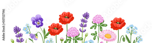 Horizontal banner with colorful blooming wild flowers. Floral background with poppy, pansy, red clover and meadow plants and leaves. Spring botanical vector illustration on white background.