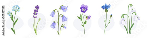 Fototapeta Naklejka Na Ścianę i Meble -  Blooming wild flowers. Cornflower, pansy, snowdrop, forget-me-not, campanula and lupine. Medow plants. Botanical decorative spring elements. Hand drawn flat illustrations, isolated on white background