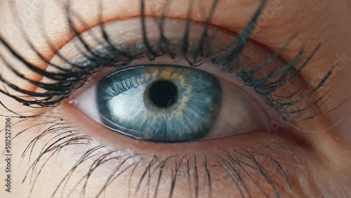 Opening and blinking female eye with a blue iris and long lashes painted with mascara. Gray eye close up of the iris and the pupil dilation and contracts. Eyeball, retina, eyelid. photo
