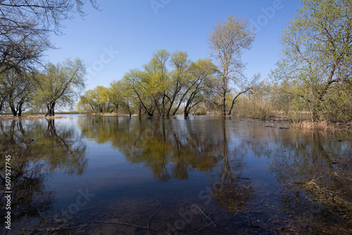 reflection of trees in the water © Ekaterina