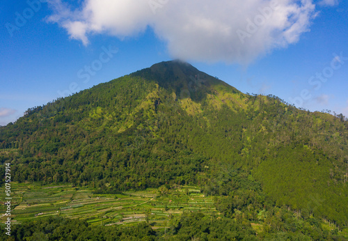 Mountain that overgrown by dense of trees with cloud over it. The mountain named Mount Andong, Central Java, Indonesia