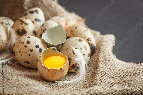 Fresh quail eggs on a dark background