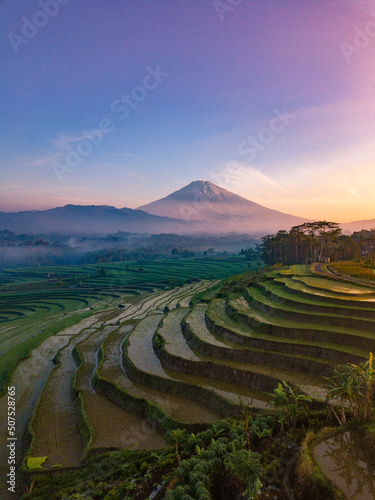 Terraced Rice field with mountain views in the background. The weather is foggy in sunrise time. It located in Kajoran Village, Magelang, Central Java