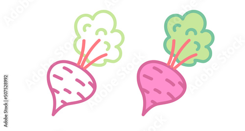 Vector set icons of beet. Vector illustration of beet. Hand drawing vegetables.