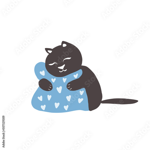 cute cat with pillow
