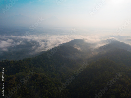 Hill which overgrown with dense of trees in the morning with misty condition weather. The hill named Menoreh Hill, Central Java, Indonesia