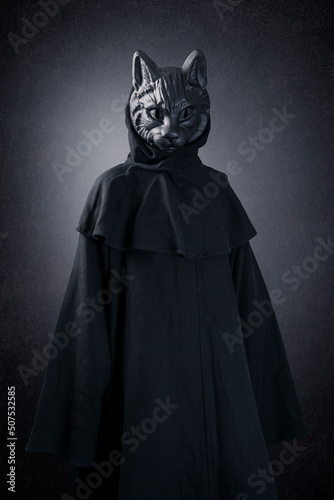 Black cat in hooded cloak at night over dark misty background