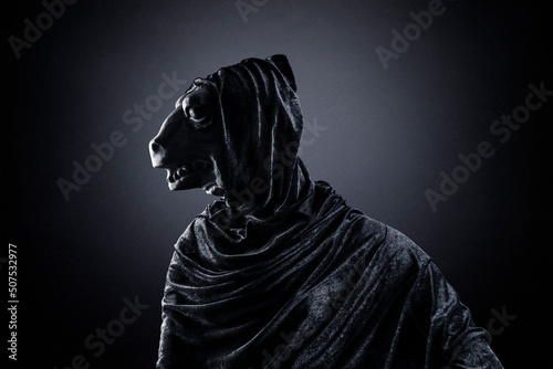 Fotografija Reptile in hooded cloak at night over dark misty background