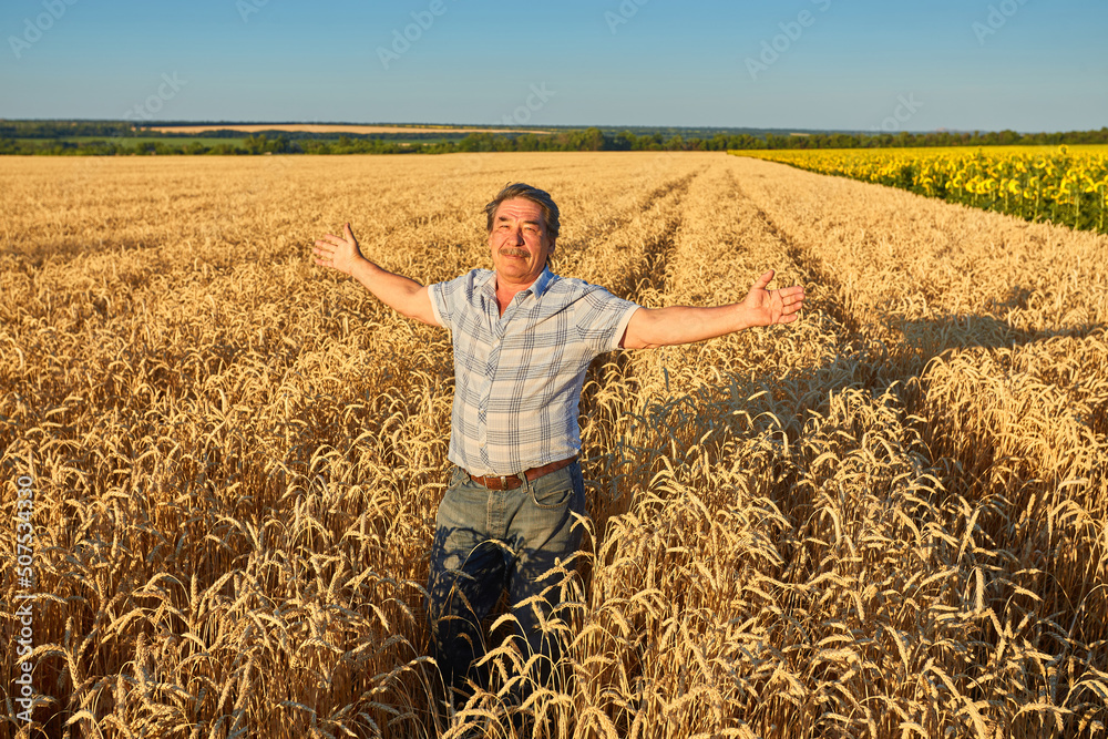 farmer standing in a wheat field farmer standing in a wheat field
