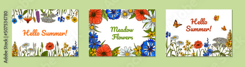 Set of wildflowers botany designs. Colorful hand drawn vector illustration. Summer background