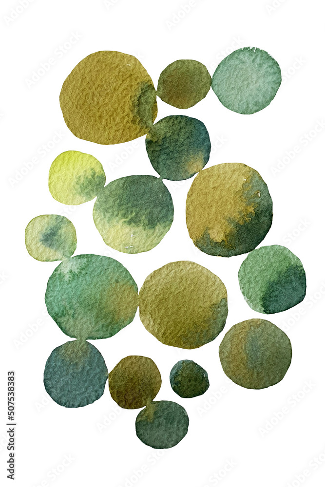 Set of watercolor design elements of a collection of flowers, leaves, branches, circles, botanical illustration on white background - obrazy, fototapety, plakaty 