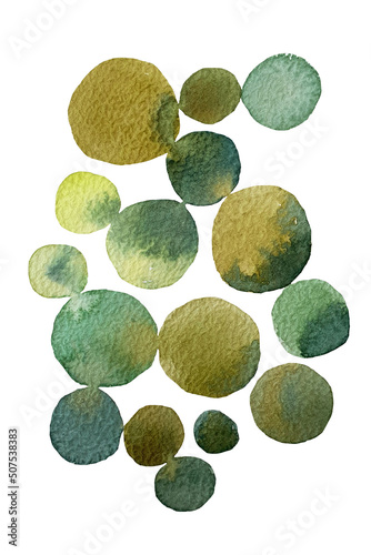 Set of watercolor design elements of a collection of flowers, leaves, branches, circles, botanical illustration on white background