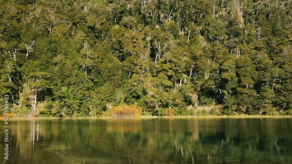 Serene lake. Panorama view of the green forest foliage reflection in the water surface. Serene lake. Panorama view of the green forest foliage reflection in the water surface.